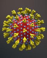 Coronavirus, isolato il ceppo italiano. Ora possibile tracciare l’epidemia